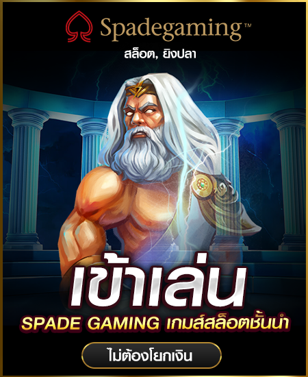 imgi_43_spg